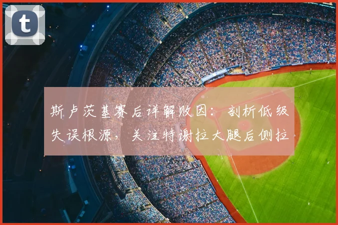 斯卢茨基赛后详解败因：剖析低级失误根源，关注特谢拉大腿后侧拉伤恢复进程